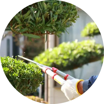 花壇／菜園イメージ